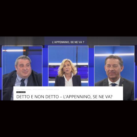 tvqui nero